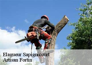 Elagueur  sapignicourt-52100 Artisan Fortin