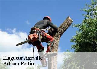 Elagueur  ageville-52340 Artisan Fortin