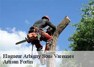 Elagueur  arbigny-sous-varennes-52500 Artisan Fortin