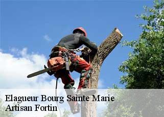 Elagueur  bourg-sainte-marie-52150 Artisan Fortin