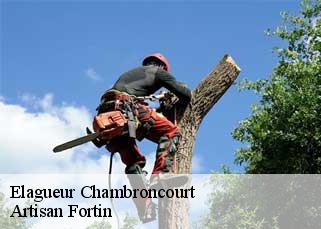 Elagueur  chambroncourt-52700 Artisan Fortin