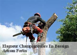 Elagueur  champigneulles-en-bassign-52150 Artisan Fortin