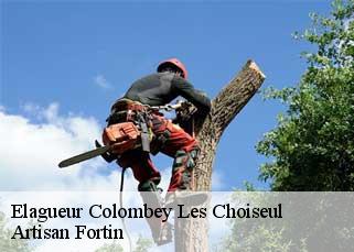 Elagueur  colombey-les-choiseul-52240 Artisan Fortin