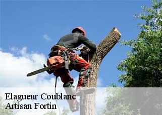 Elagueur  coublanc-52500 Artisan Fortin
