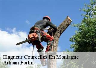 Elagueur  courcelles-en-montagne-52200 Artisan Fortin