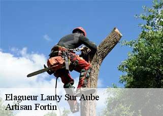Elagueur  lanty-sur-aube-52120 Artisan Fortin