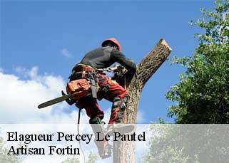 Elagueur  percey-le-pautel-52250 Artisan Fortin