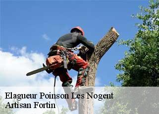 Elagueur  poinson-les-nogent-52800 Artisan Fortin