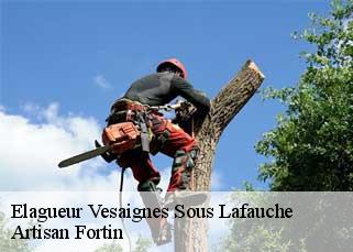 Elagueur  vesaignes-sous-lafauche-52700 Artisan Fortin